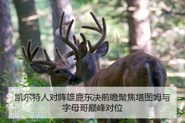 凯尔特人对阵雄鹿东决前瞻聚焦塔图姆与字母哥巅峰对位