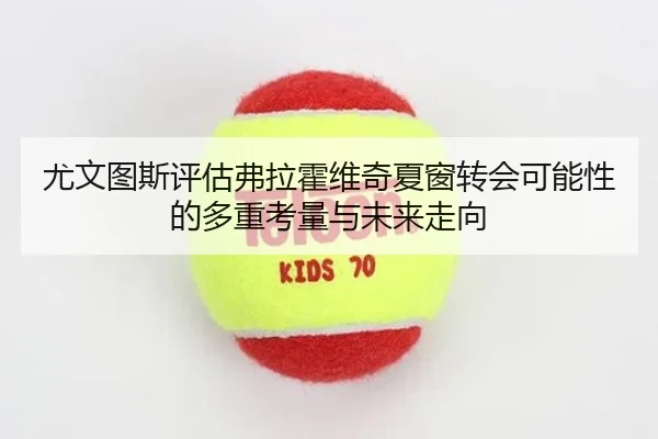尤文图斯评估弗拉霍维奇夏窗转会可能性的多重考量与未来走向