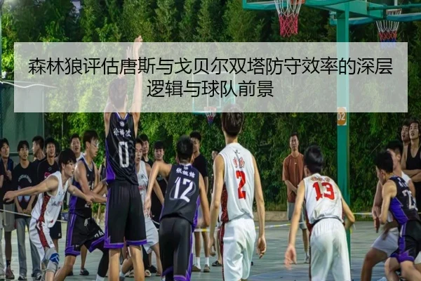 森林狼评估唐斯与戈贝尔双塔防守效率的深层逻辑与球队前景