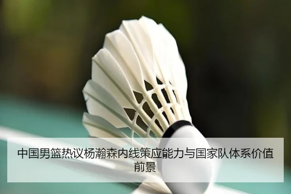中国男篮热议杨瀚森内线策应能力与国家队体系价值前景