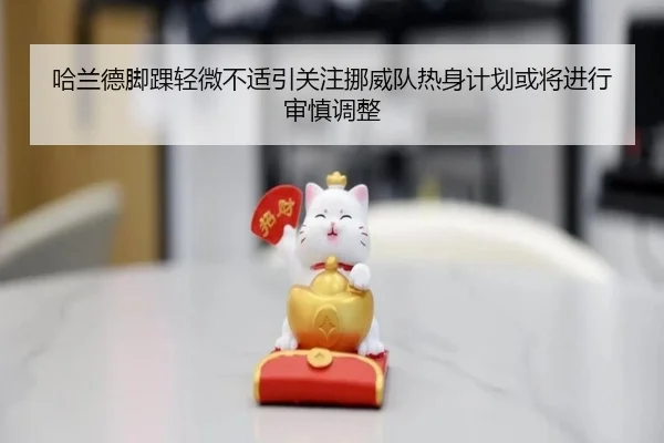 哈兰德脚踝轻微不适引关注挪威队热身计划或将进行审慎调整